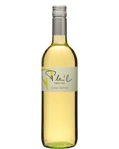 Grüner Veltliner Weingut Pleil