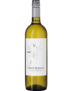 Pinot Grigio Delle Venezie DOC