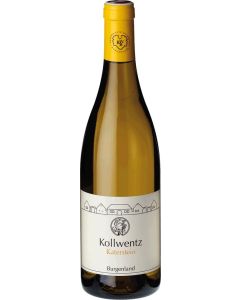 6er HK Lavignone in Umkarton Barbera d'Asti DOCG