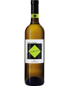 Terre Cortesi Verdicchio dei Castelli di Jesi Classico DOC