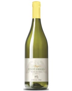 Pinot Grigio Fallwind DOC